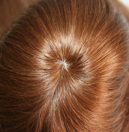 Vehicle traveling data recorder